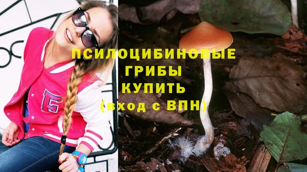 первитин Верхний Тагил