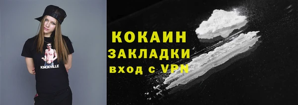 твердый Белая Холуница
