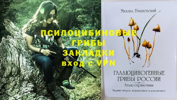 СК Верхнеуральск