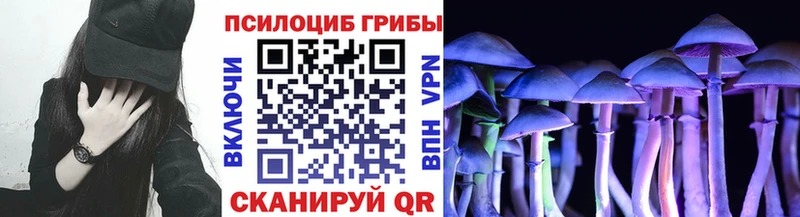 Псилоцибиновые грибы ЛСД  Заозёрный 